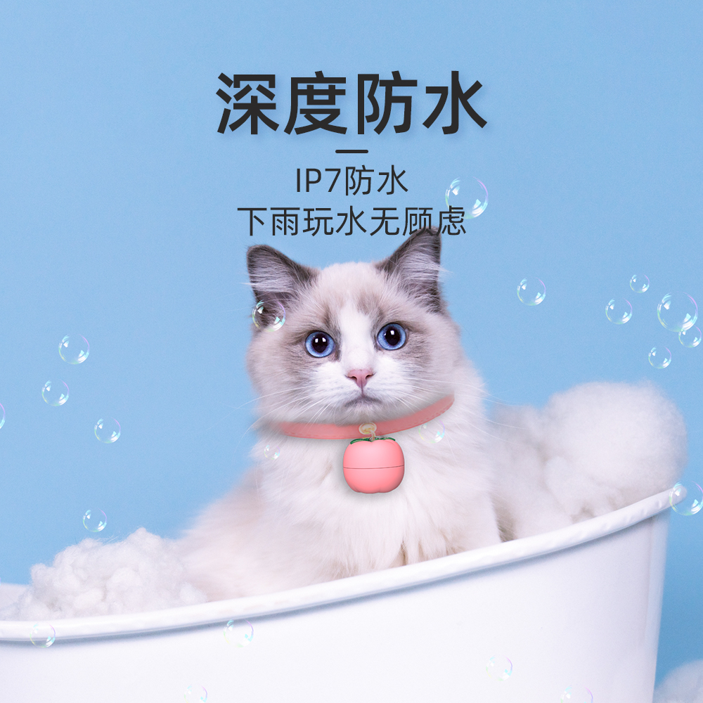 A3番茄主图 (2).jpg