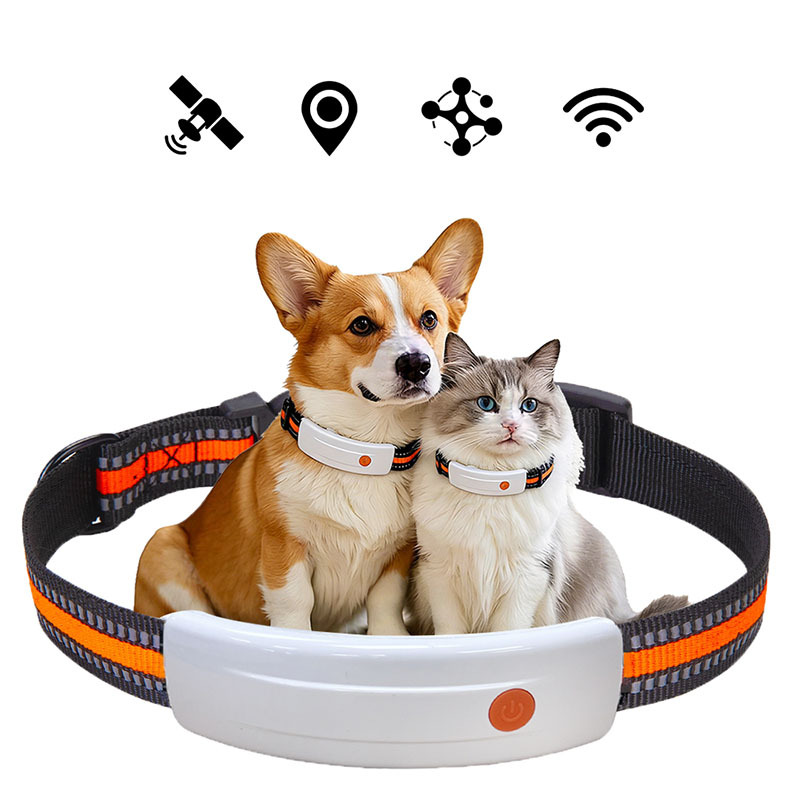 A30 Smart Pet Tracker